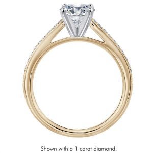 Alternative view of Anillo de Compromiso PBM006