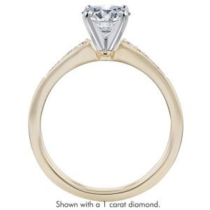 Alternative view of Anillo de Compromiso PBM010