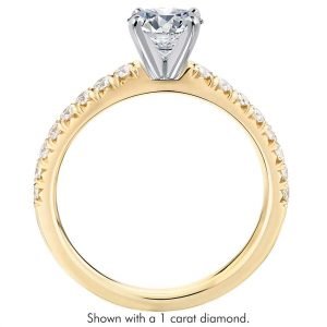 Alternative view of Anillo de Compromiso PBM011