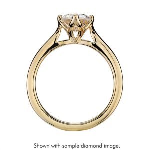 Alternative view of Anillo de Compromiso PBU006