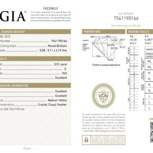 Alternative view of Diamante Natural GIA - Redondo 0.51 carats (E/VS2/3EXC)